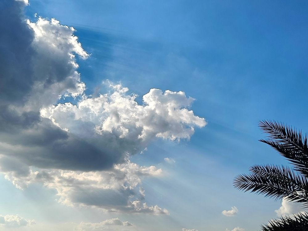 Фотография автора Shreyan Dey Sarkar