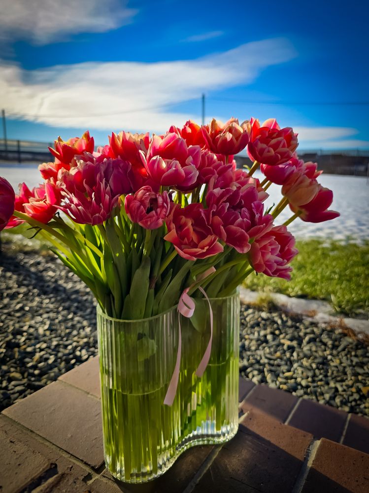 Photograph by Елена Сиушова