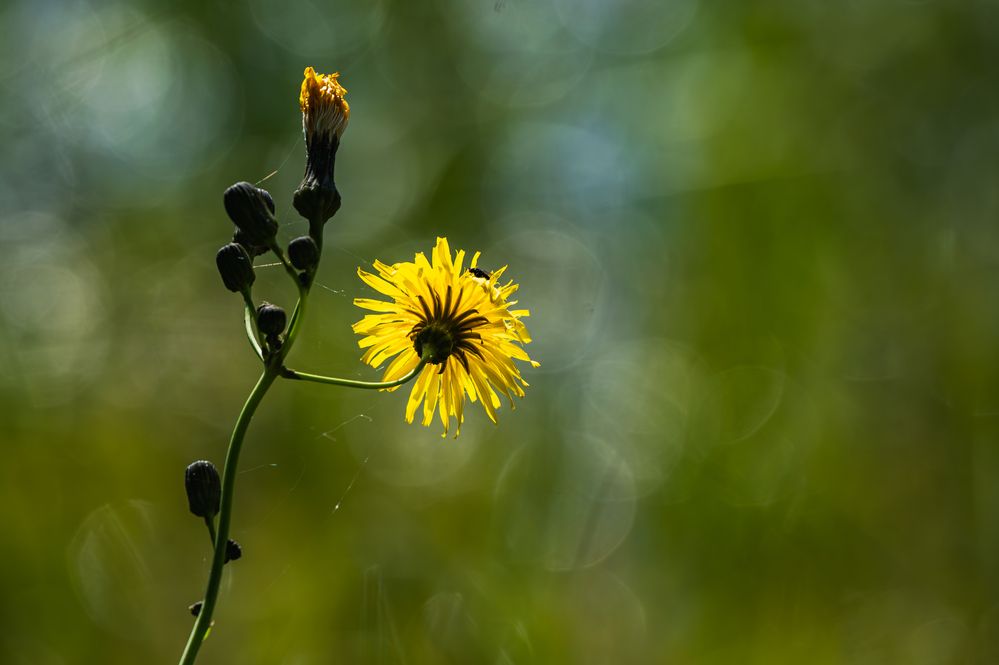Photograph by Андрей Бородкин
