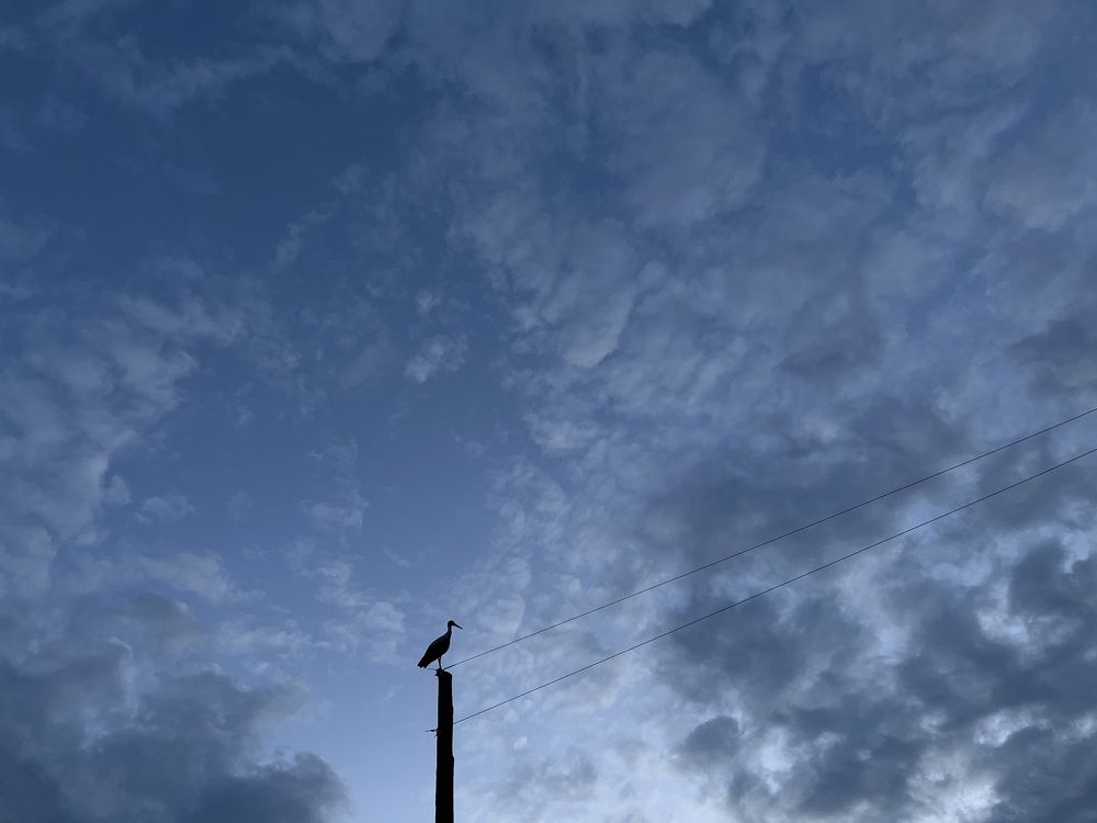 Photograph by Виктория Горельченко