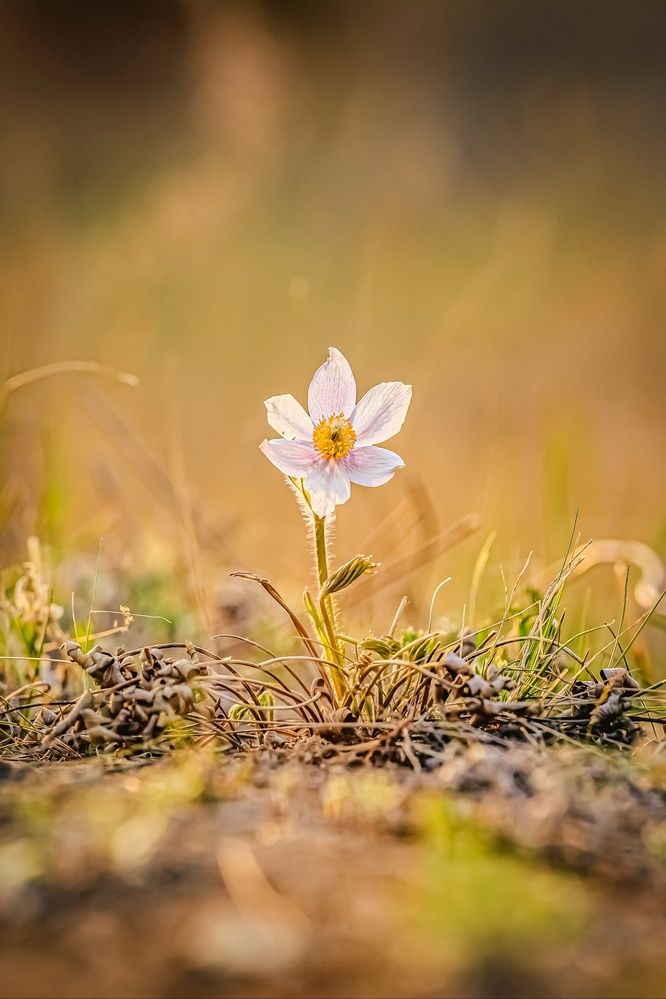 Photograph by Виктория Лобанова