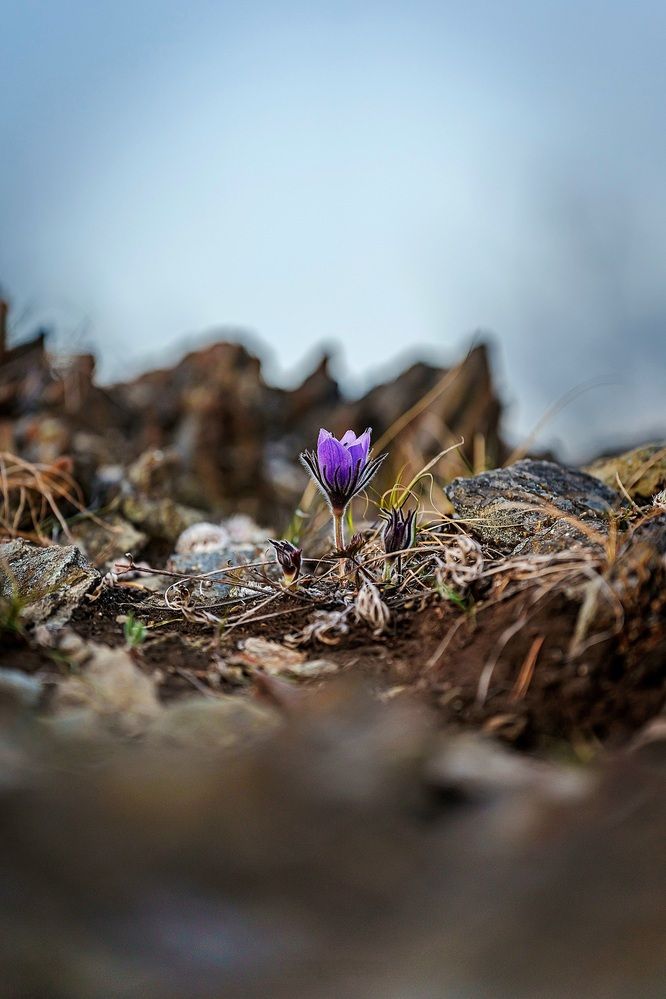 Photograph by Виктория Лобанова