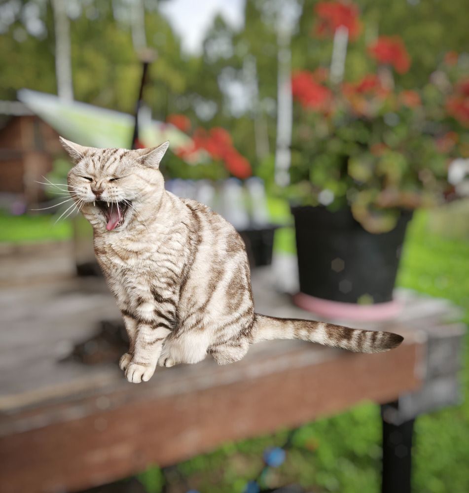 Photograph by Марина Опарина