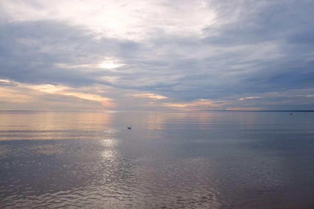 Photograph by Виктория Горельченко