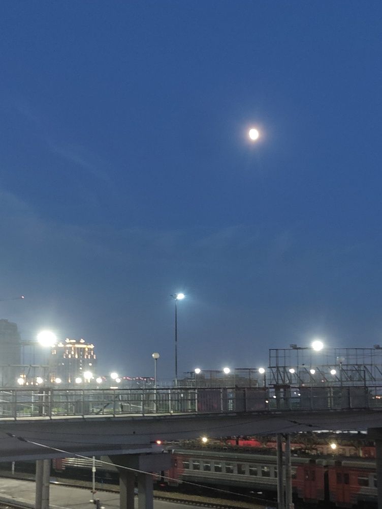 Photograph by Olena Chertous