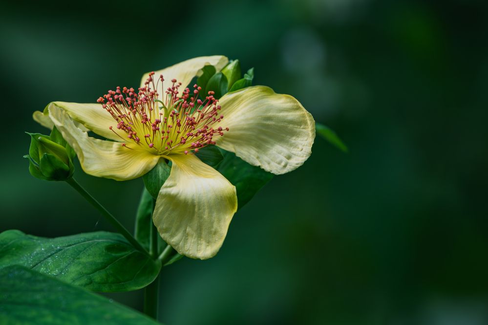 Photograph by Андрей Бородкин