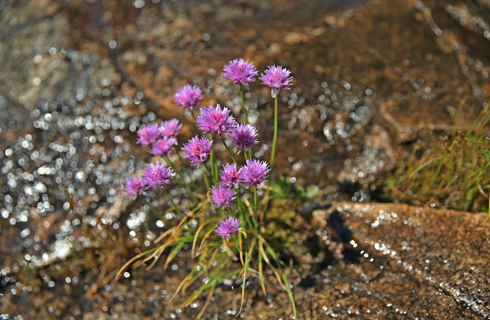 Фотография автора Юрий Кетель