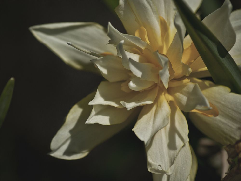 Photograph by Светлана Тарханова