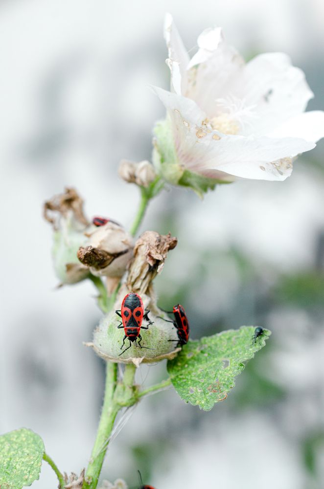 Photograph by Анна Потапова