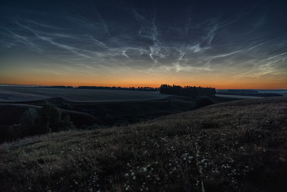 Фотография автора Григорьев Константин