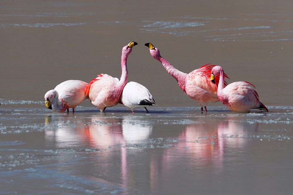 Photograph by Anna Perevozchikova