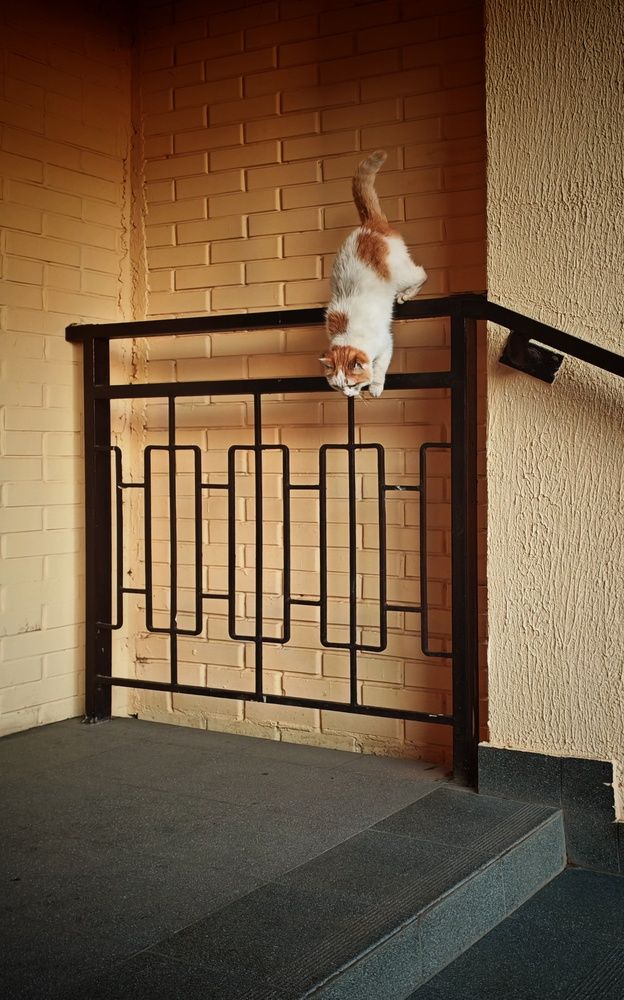 Photograph by Сергей Кошин