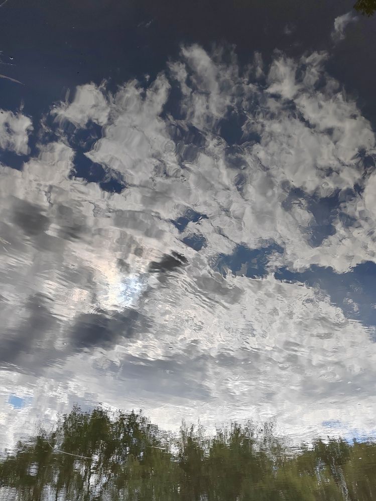 Фотография автора Татьяна Егорова