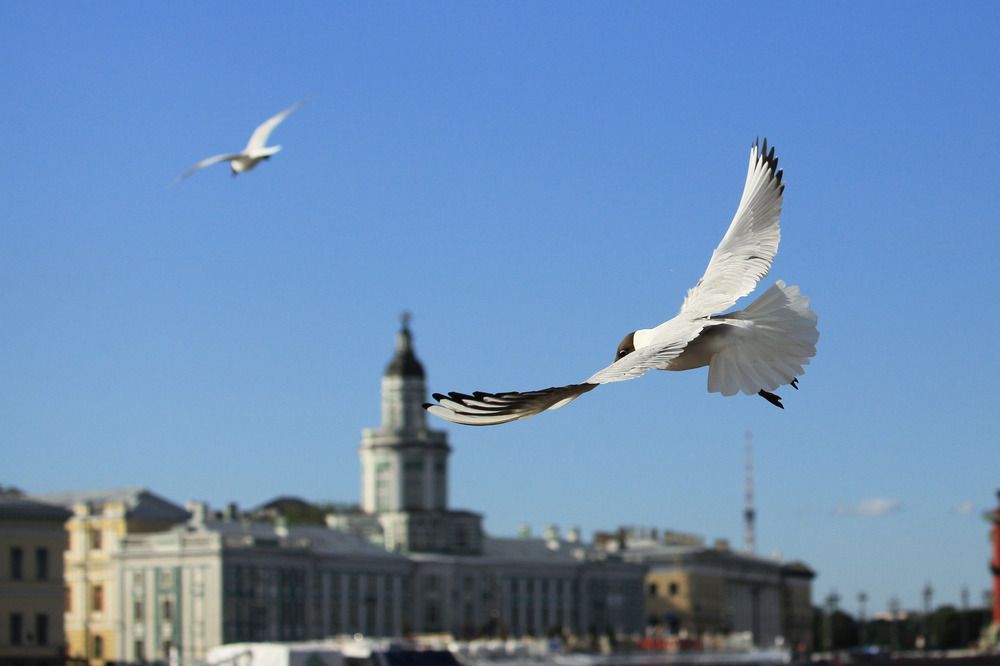 Photograph by Anastassia