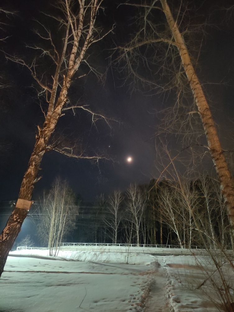 Photograph by Olena Chertous