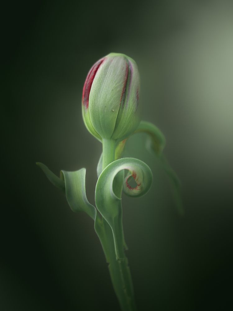 Photograph by Анна Тен