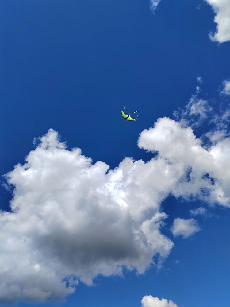 Фотография автора Татьяна Егорова