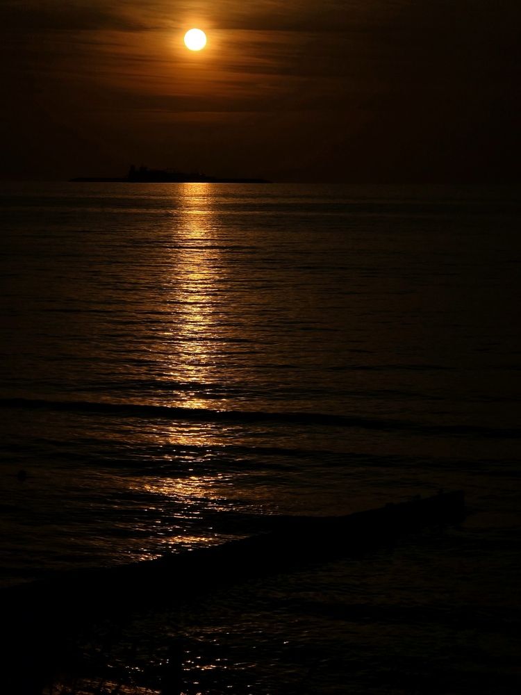 Photograph by Ирина Муравьева