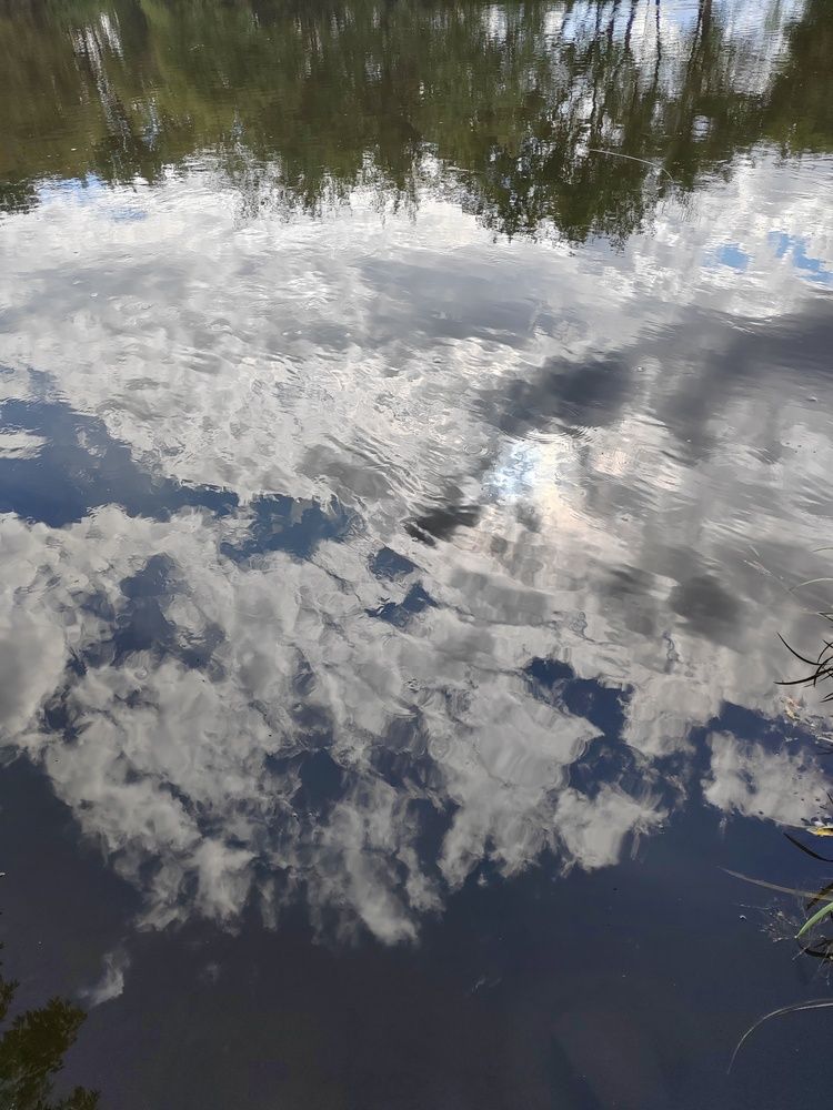 Фотография автора Татьяна Егорова