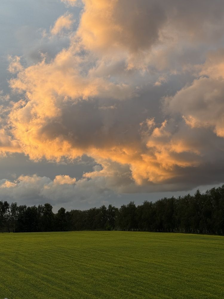 Photograph by Марина Сальникова