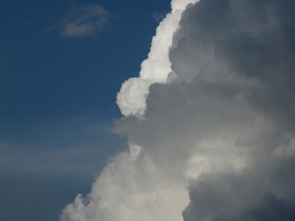 Фотография автора Антонина Клементьева