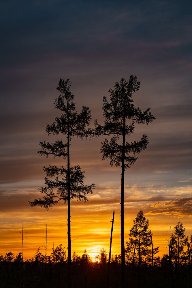 Photograph by Щебланов Виктор