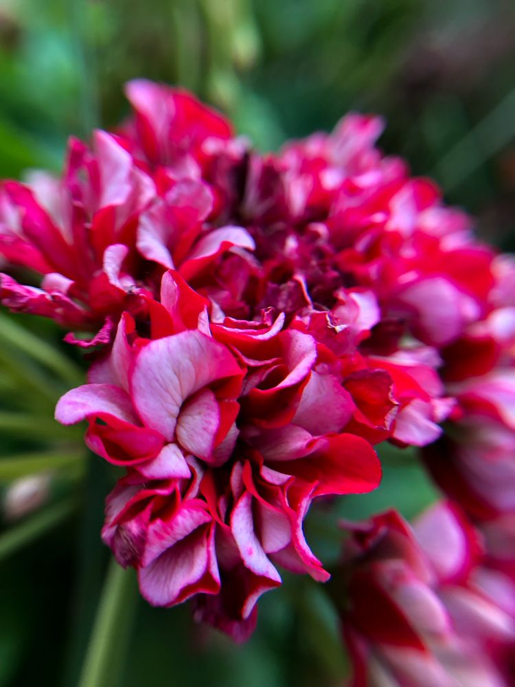 Photograph by Анастасия Короленко