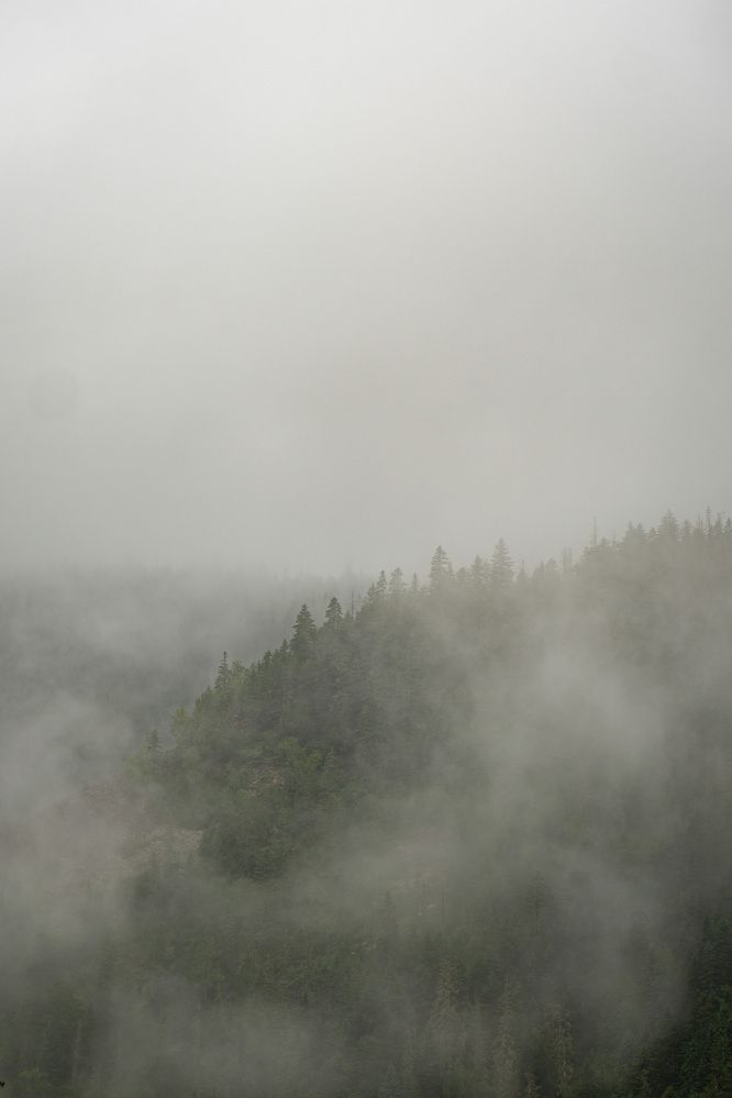 Photograph by Щебланов Виктор