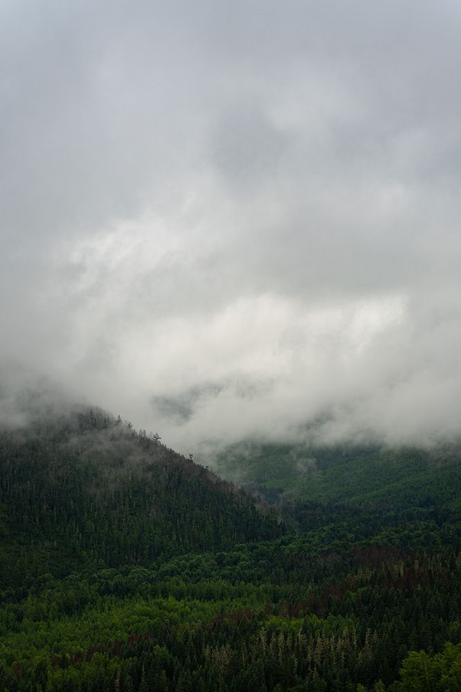 Photograph by Щебланов Виктор