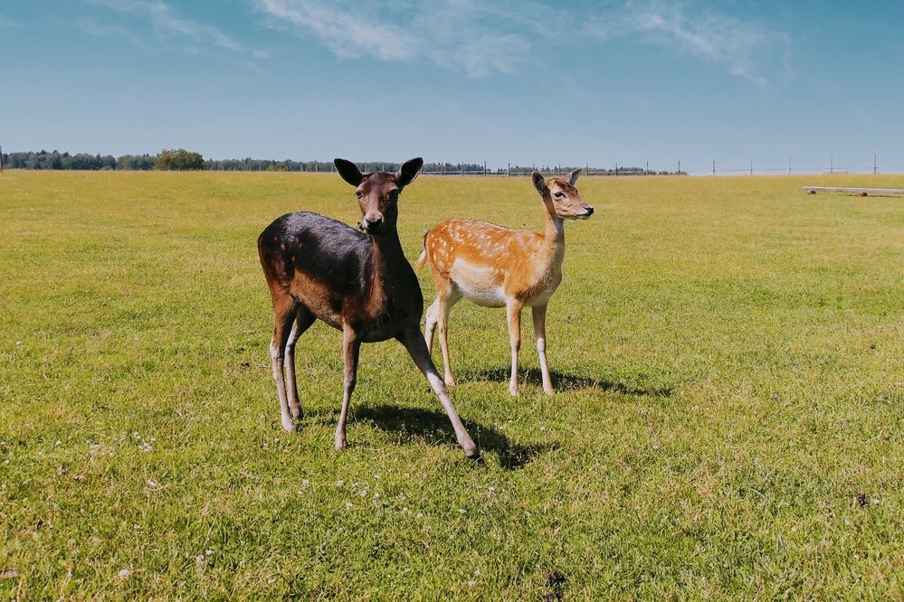 Photograph by Алена