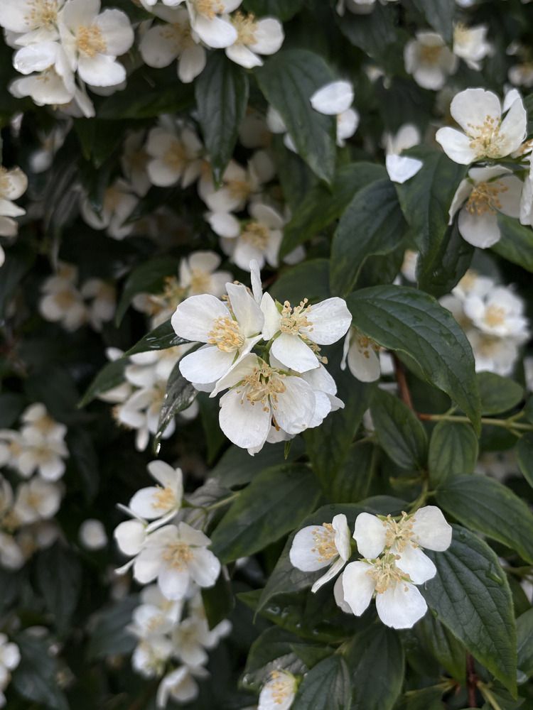 Фотография автора Марина