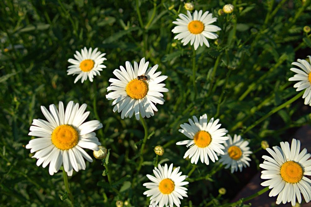 Photograph by Алексей Язвенко