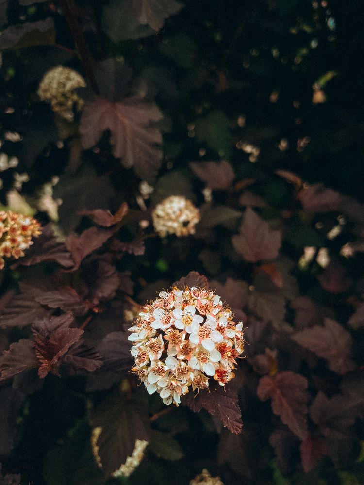 Фотография автора Марина