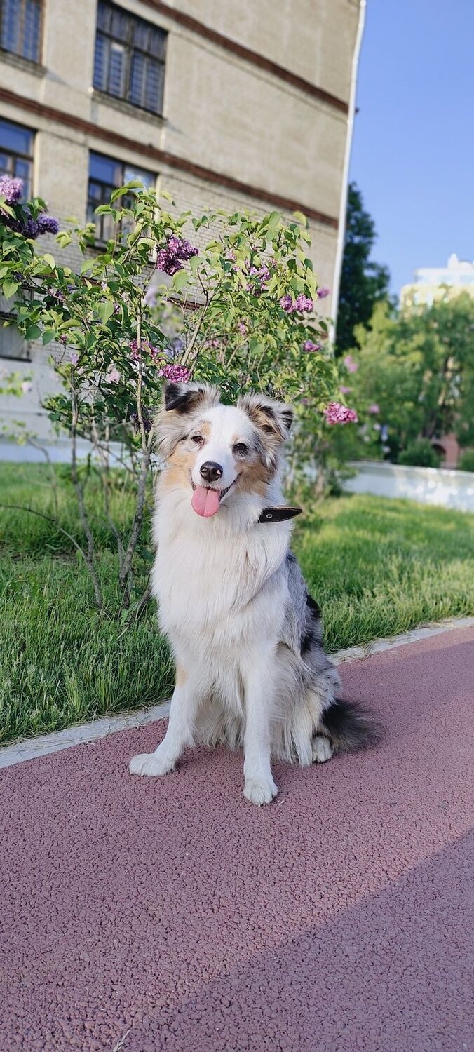 Photo #12502187