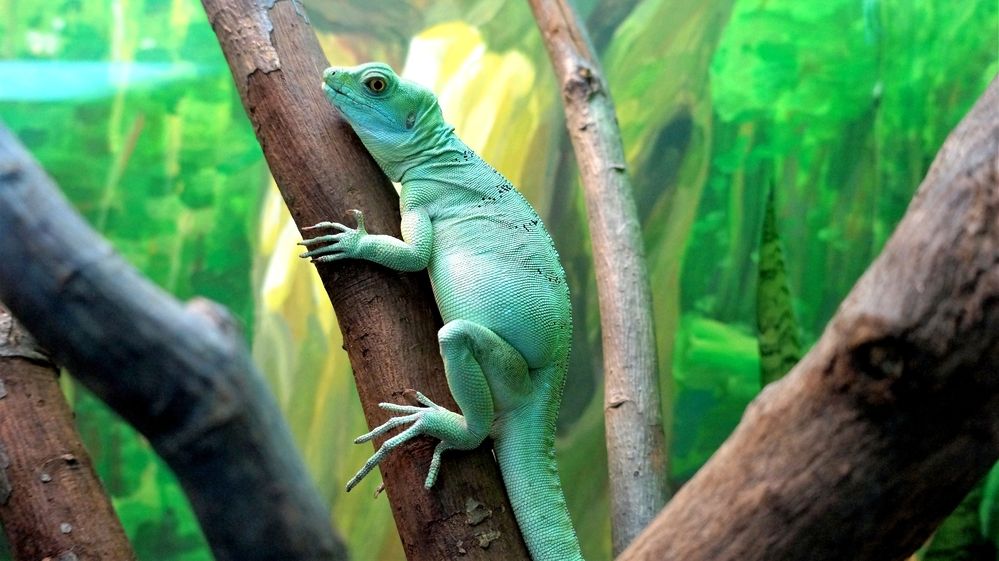 Photograph by Алексей Язвенко