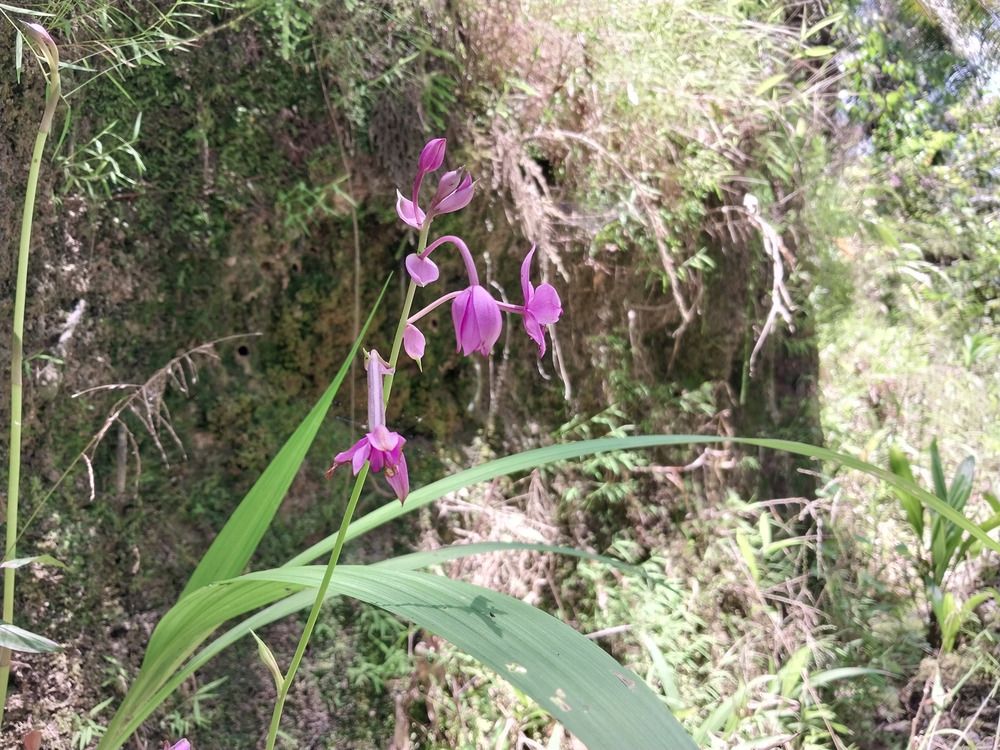 Photograph by Terence Ignatius