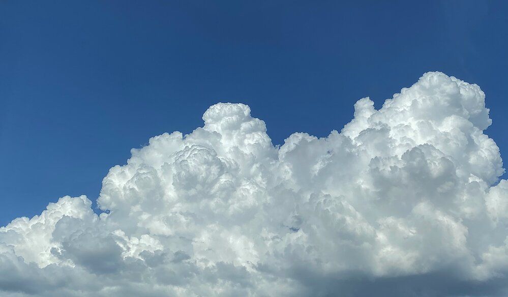 Фотография автора Natalia Nikolaeva