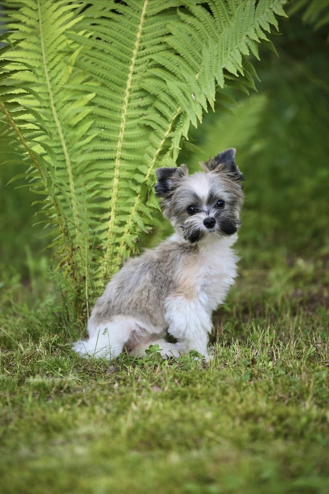 Photograph by Anastassia