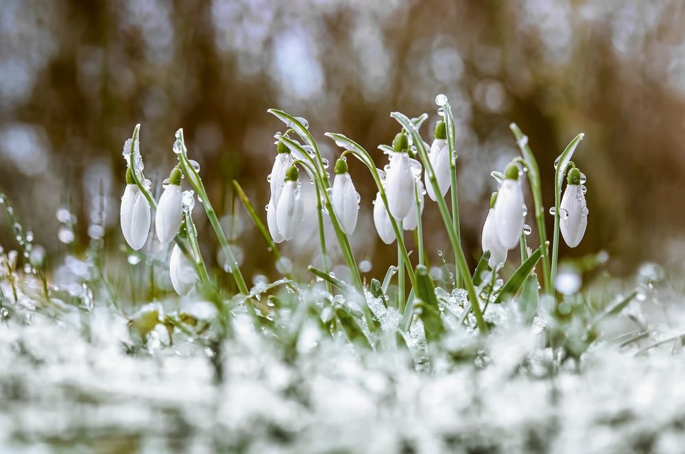 Photograph by Kveta Novotna