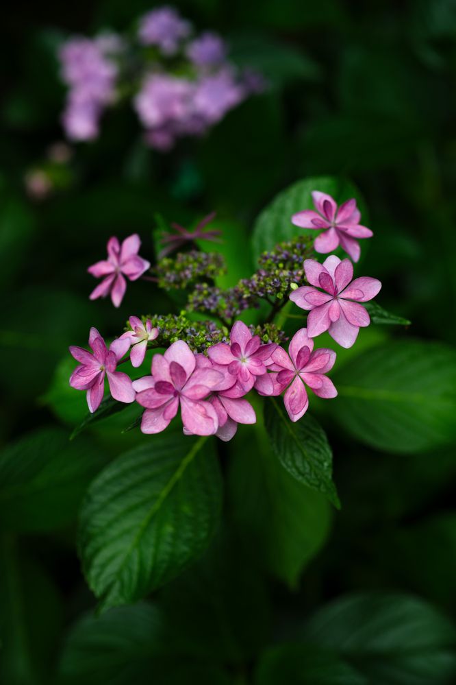 Photograph by LuqK