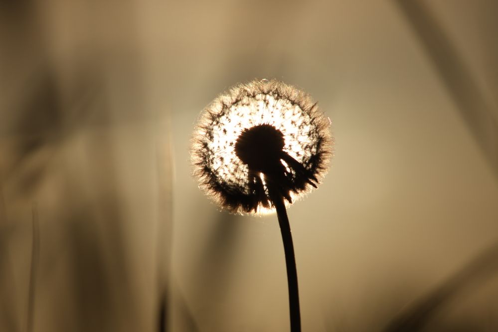 Photograph by Тимофей Петров