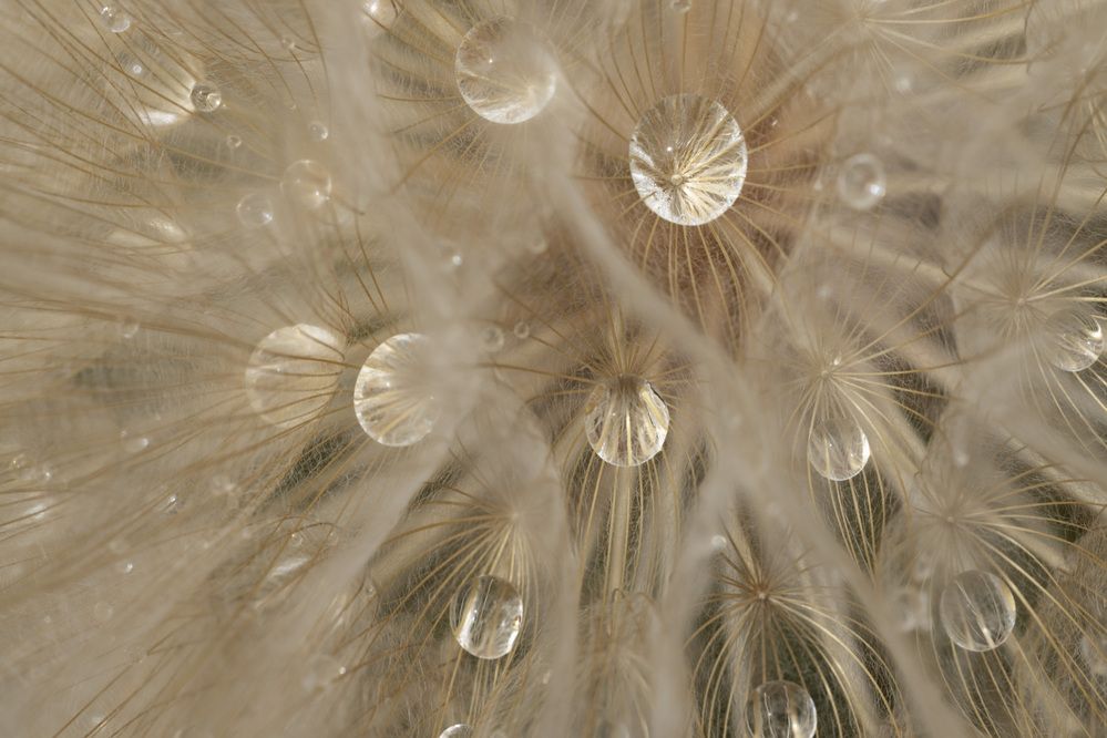 Photograph by Юлия Панова