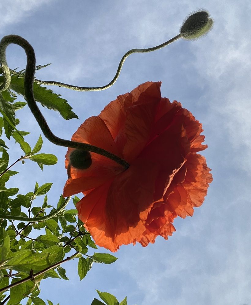 Photograph by Алиса Лукина