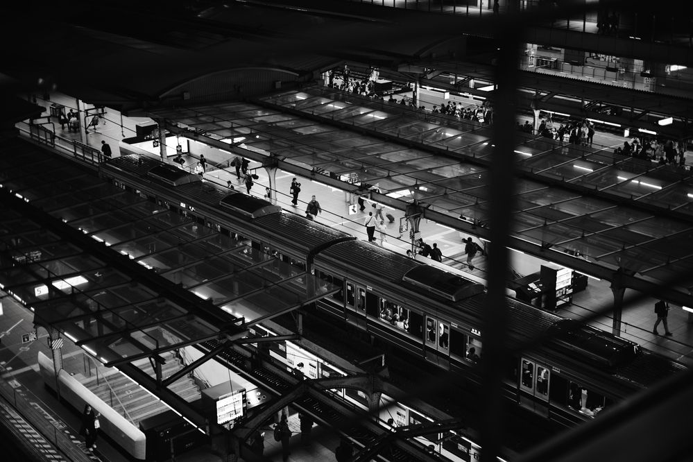 Photograph by LuqK
