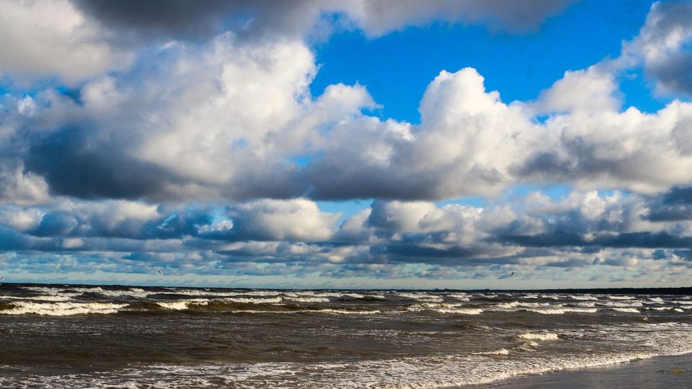 Photograph by Igors Rostikovs