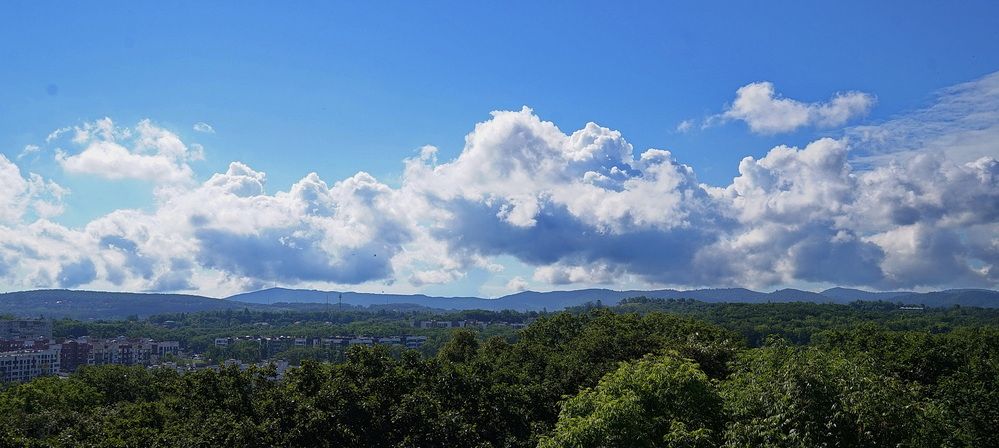 Фотография автора АЛЕКСАНДР ЦЫГЕЛЬНЮК