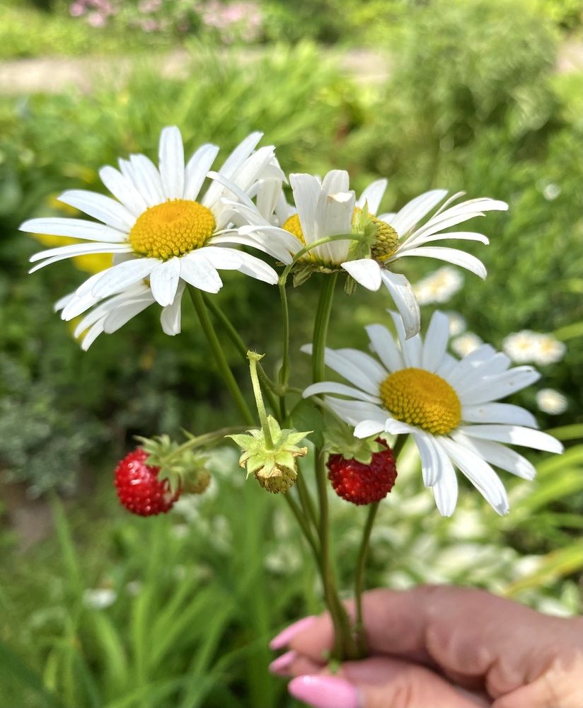 Photograph by Алиса Лукина