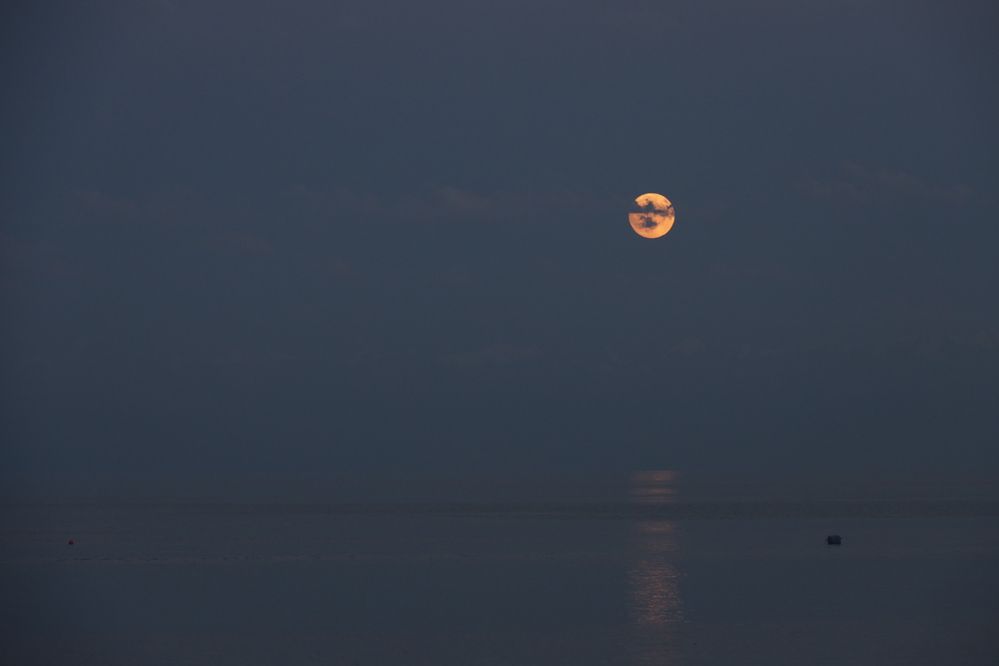 Photograph by Юлия Панова