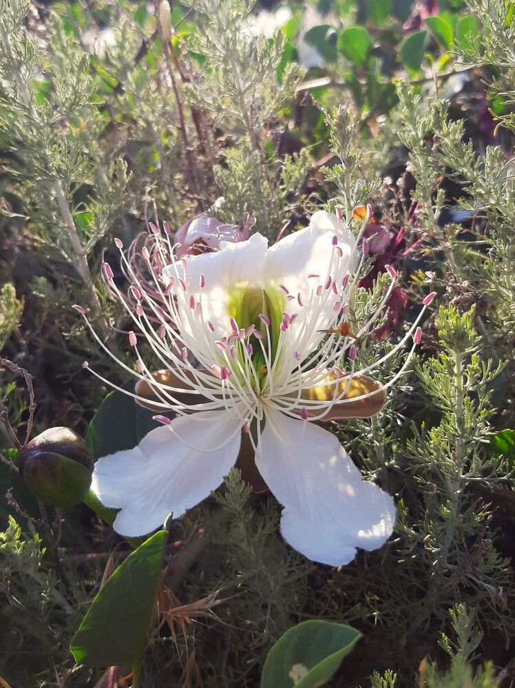 Photograph by Галина Глазкова