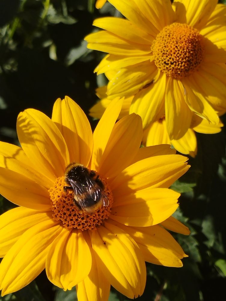 Photograph by Ия Дирко